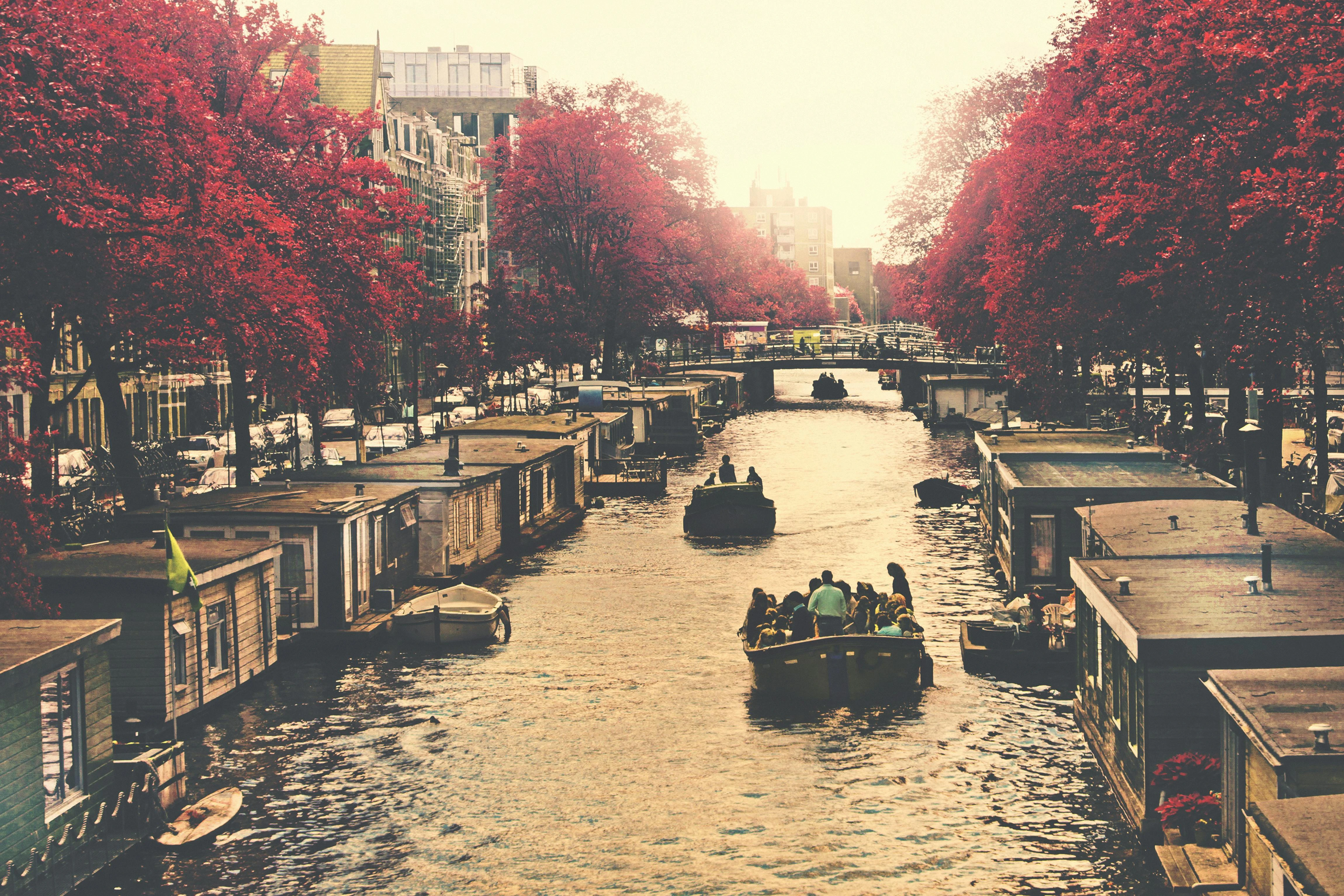 Private Boat Tour Amsterdam with Local Guide | FRSDS
